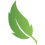phenolfrei